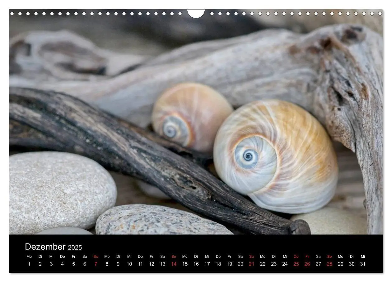Bild: 9783435688968 | Strandgut und Meer 2025 (Wandkalender 2025 DIN A3 quer), CALVENDO...