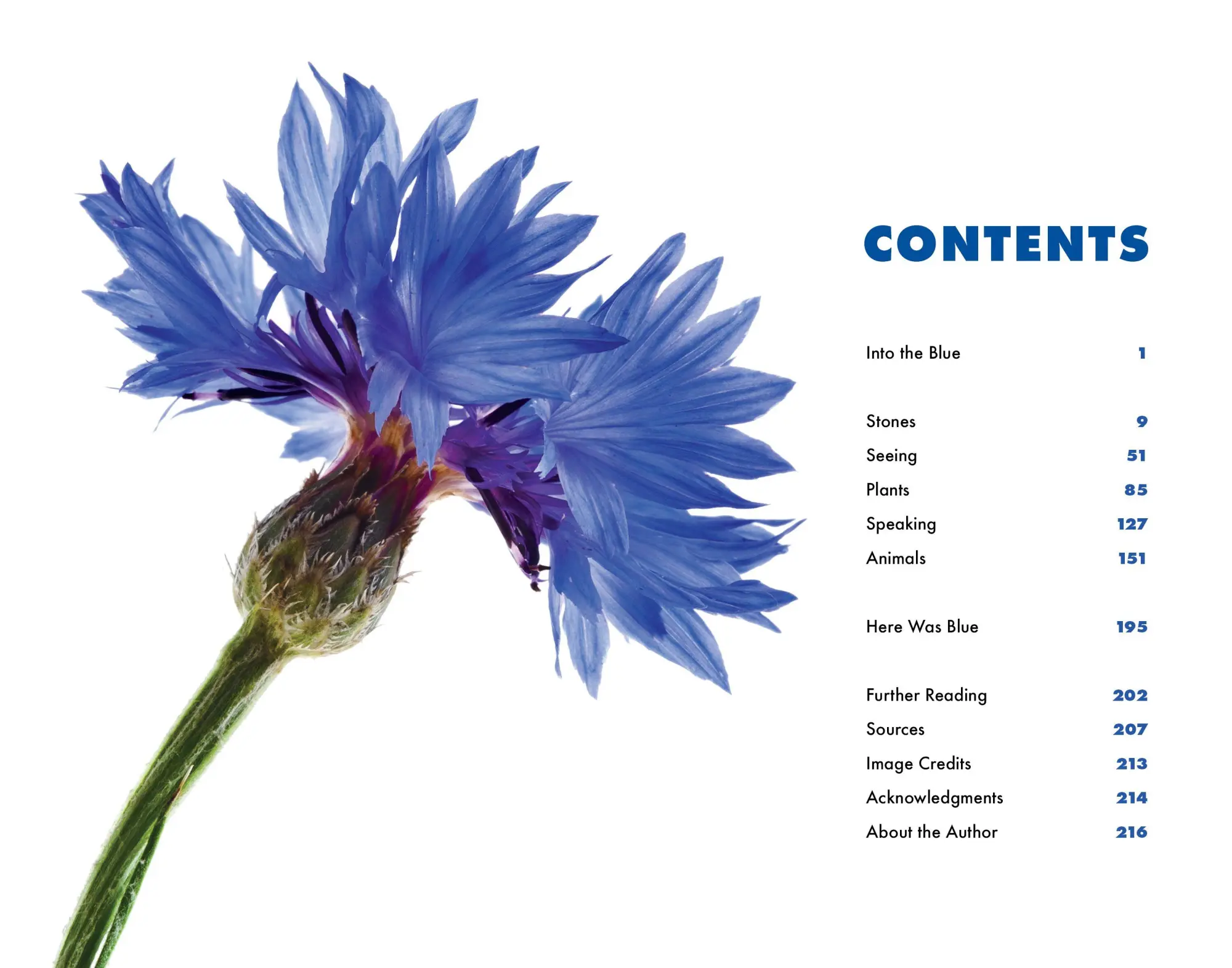 Bild: 9781615199068 | Blue | The Science and Secrets of Nature's Rarest Color | Taschenbuch
