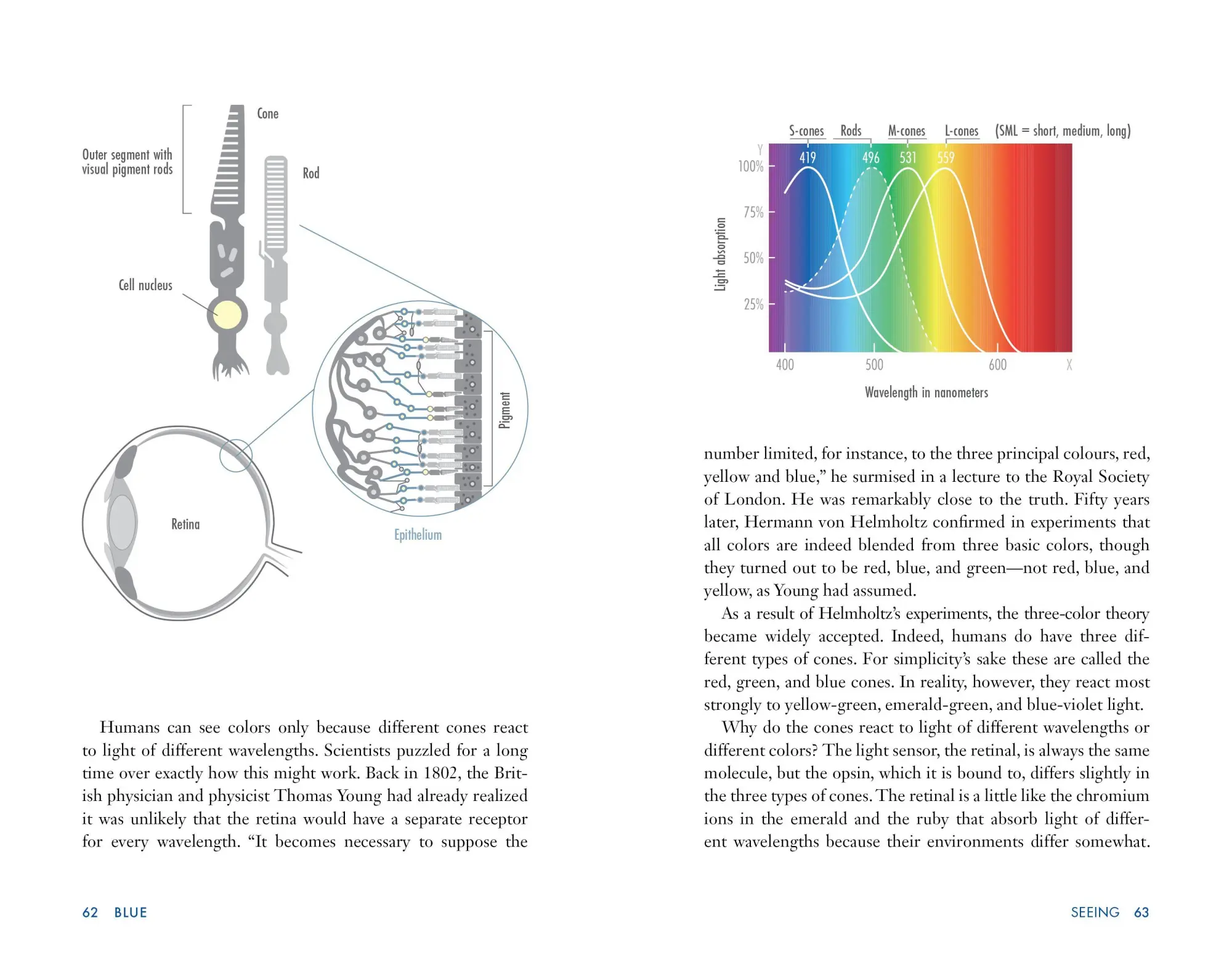 Bild: 9781615199068 | Blue | The Science and Secrets of Nature's Rarest Color | Taschenbuch