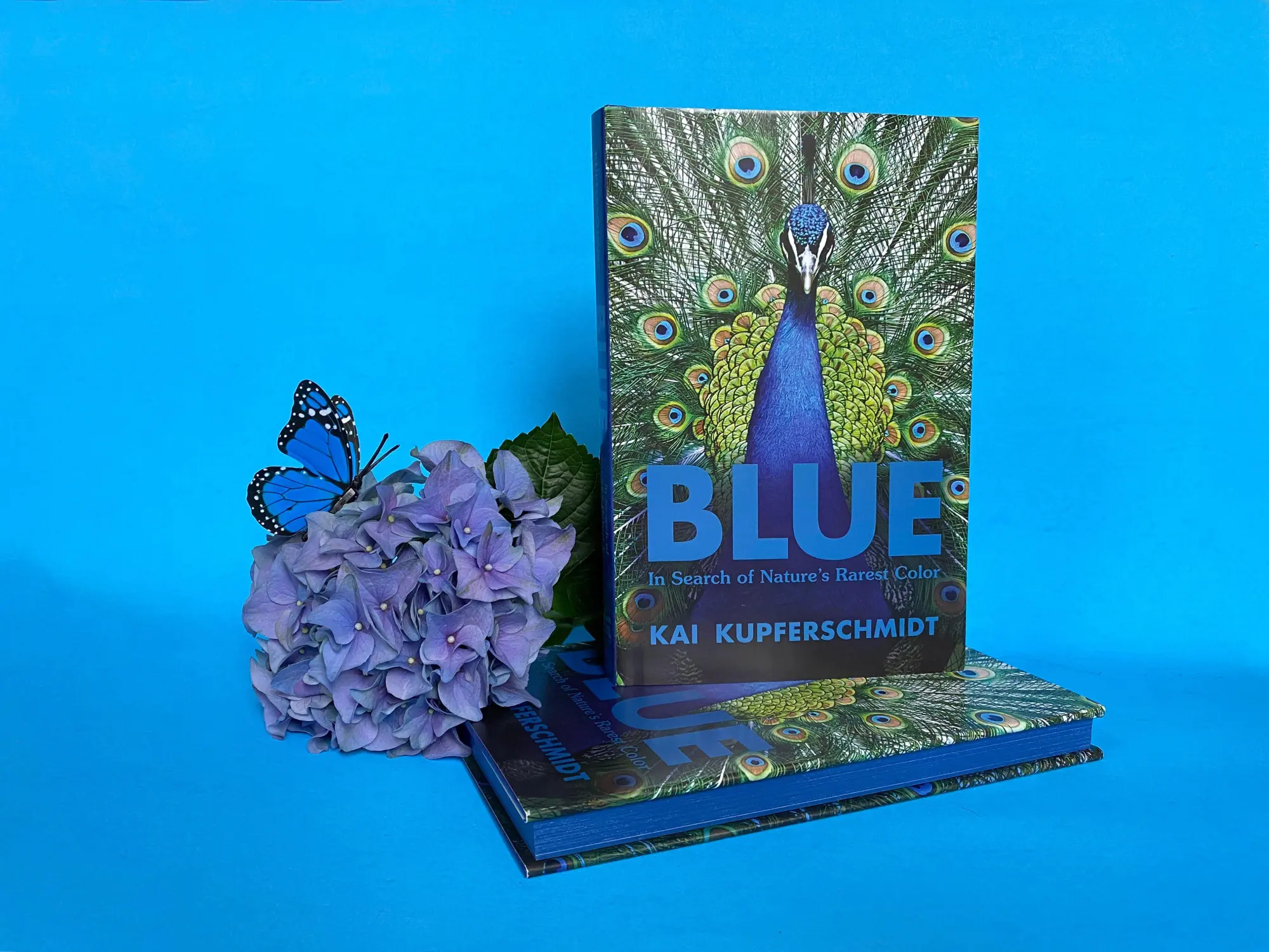 Bild: 9781615199068 | Blue | The Science and Secrets of Nature's Rarest Color | Taschenbuch
