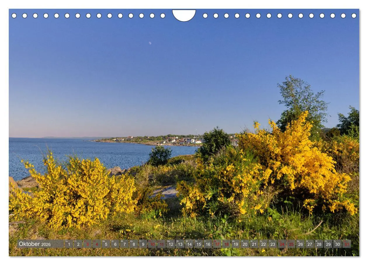 Bild: 9783457809068 | Bornholm Juwel der Ostsee (Wandkalender 2026 DIN A4 quer), CALVENDO...