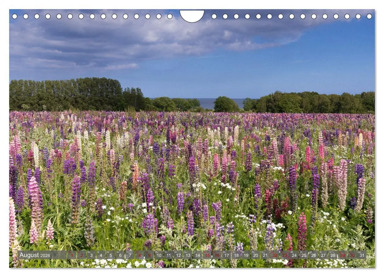 Bild: 9783457809068 | Bornholm Juwel der Ostsee (Wandkalender 2026 DIN A4 quer), CALVENDO...