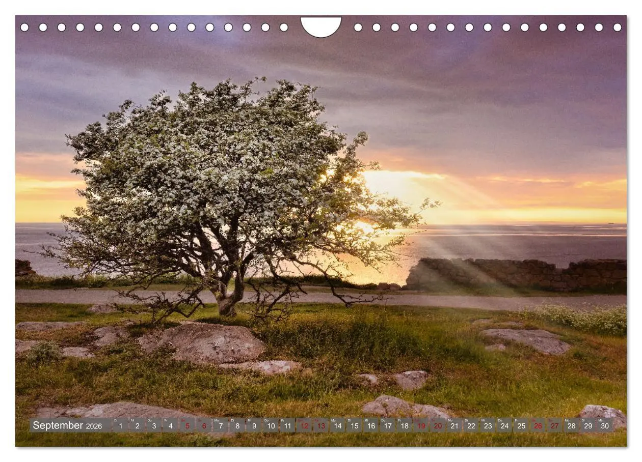 Bild: 9783457809068 | Bornholm Juwel der Ostsee (Wandkalender 2026 DIN A4 quer), CALVENDO...