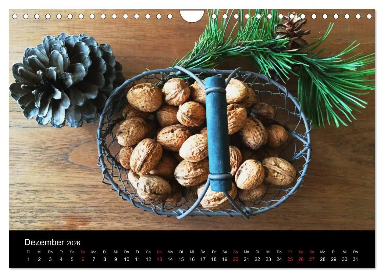 Bild: 9783457979068 | land und leben (Wandkalender 2026 DIN A4 quer), CALVENDO...
