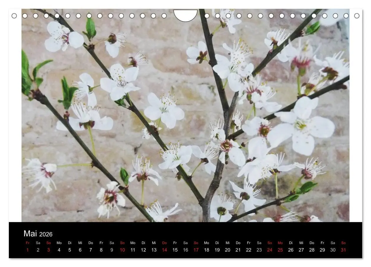 Bild: 9783457979068 | land und leben (Wandkalender 2026 DIN A4 quer), CALVENDO...