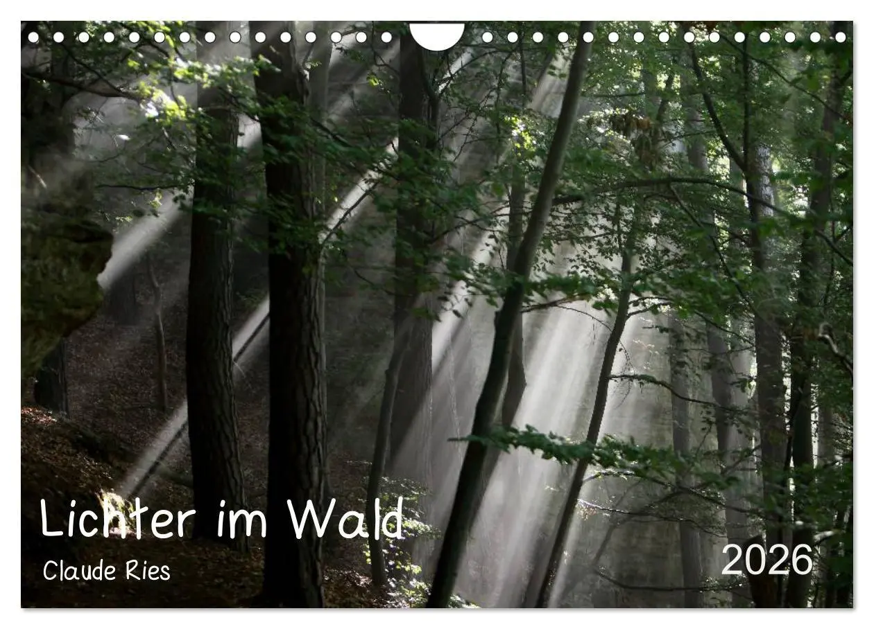Cover: 9783516209068 | Lichter im Wald (Wandkalender 2026 DIN A4 quer), CALVENDO...