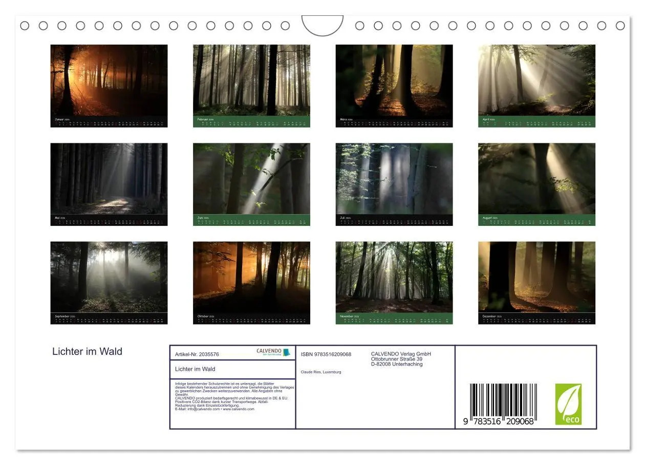 Bild: 9783516209068 | Lichter im Wald (Wandkalender 2026 DIN A4 quer), CALVENDO...