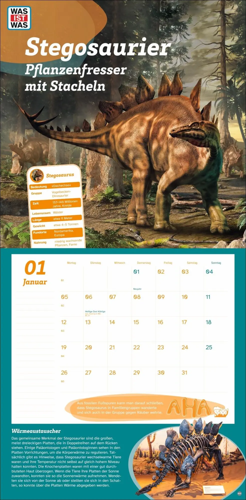 Bild: 9783756409068 | WAS IST WAS Dinosaurier Broschurkalender 2026 | Kalender | 28 S.