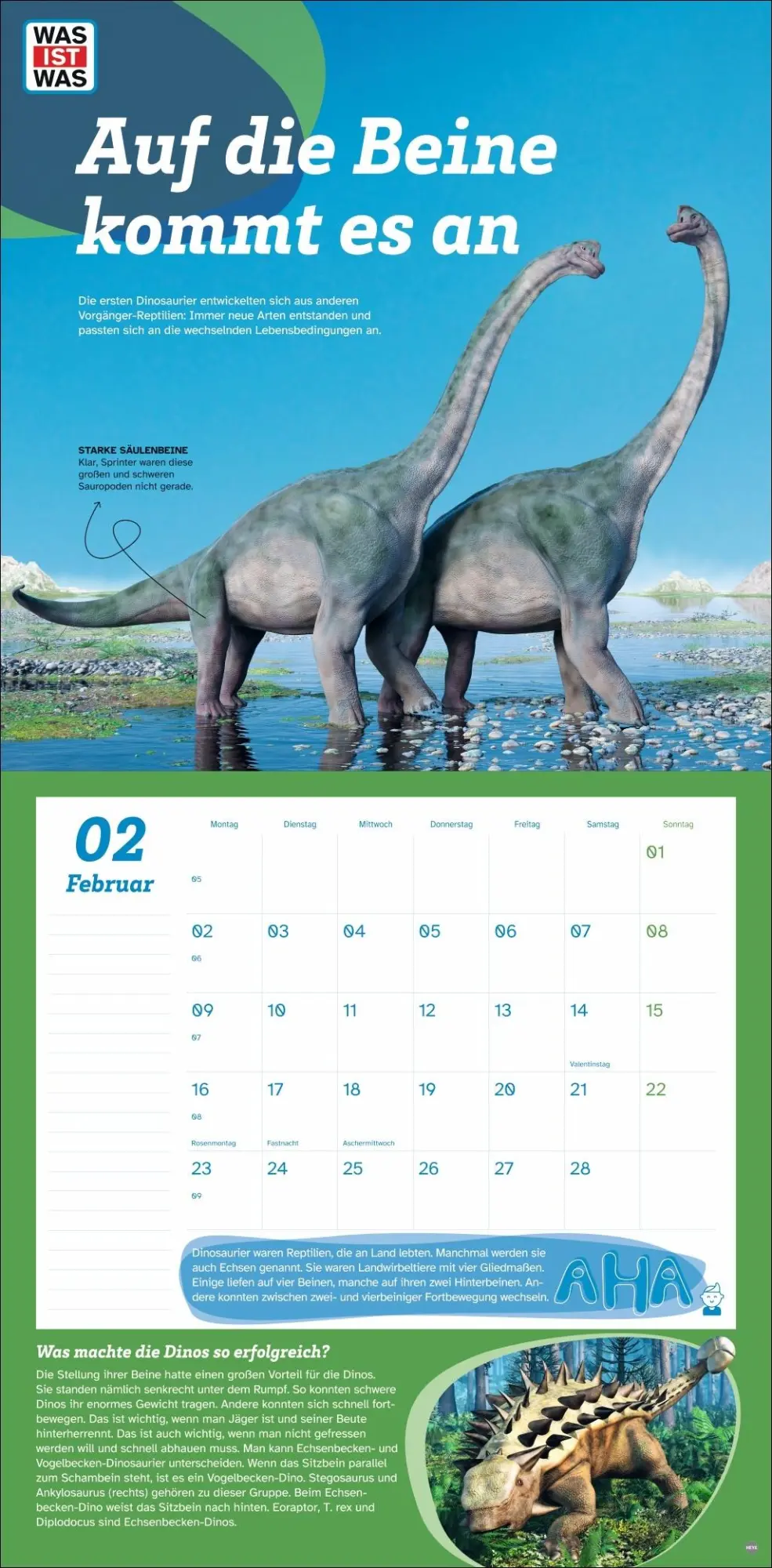 Bild: 9783756409068 | WAS IST WAS Dinosaurier Broschurkalender 2026 | Kalender | 28 S.
