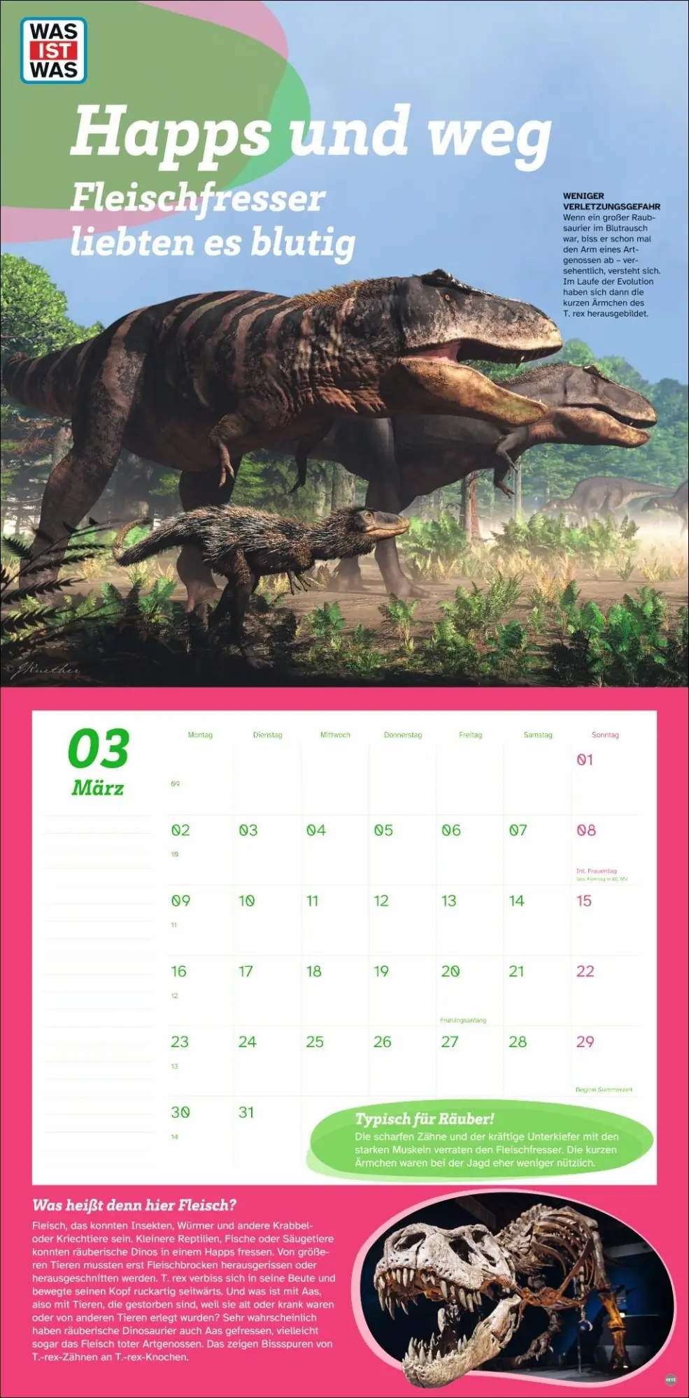 Bild: 9783756409068 | WAS IST WAS Dinosaurier Broschurkalender 2026 | Kalender | 28 S.