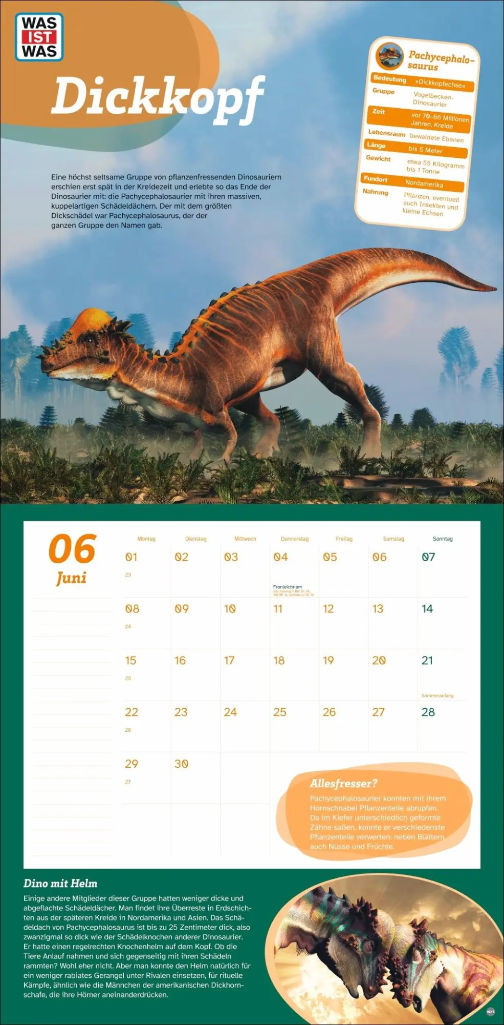 Bild: 9783756409068 | WAS IST WAS Dinosaurier Broschurkalender 2026 | Kalender | 28 S.