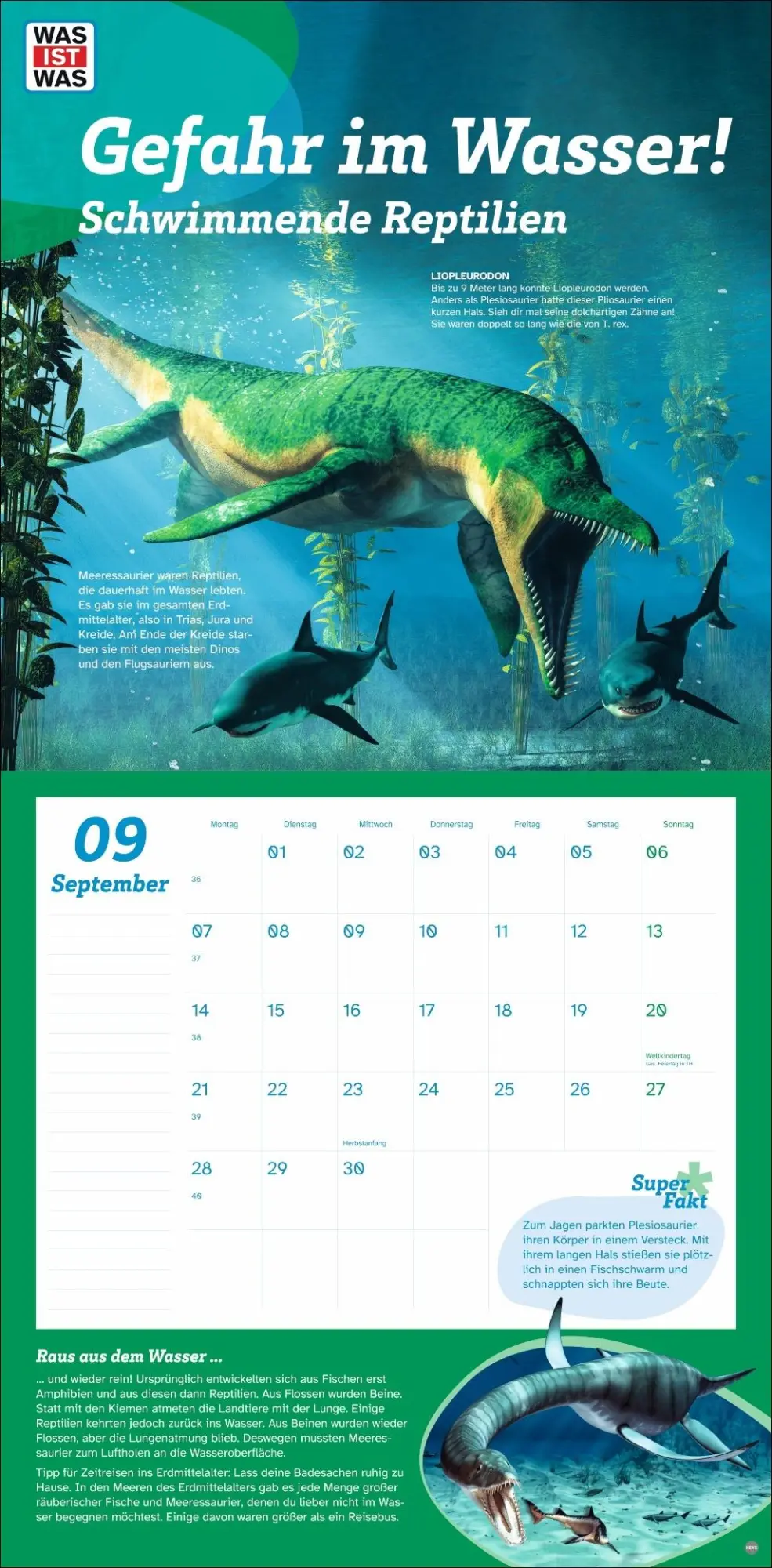Bild: 9783756409068 | WAS IST WAS Dinosaurier Broschurkalender 2026 | Kalender | 28 S.
