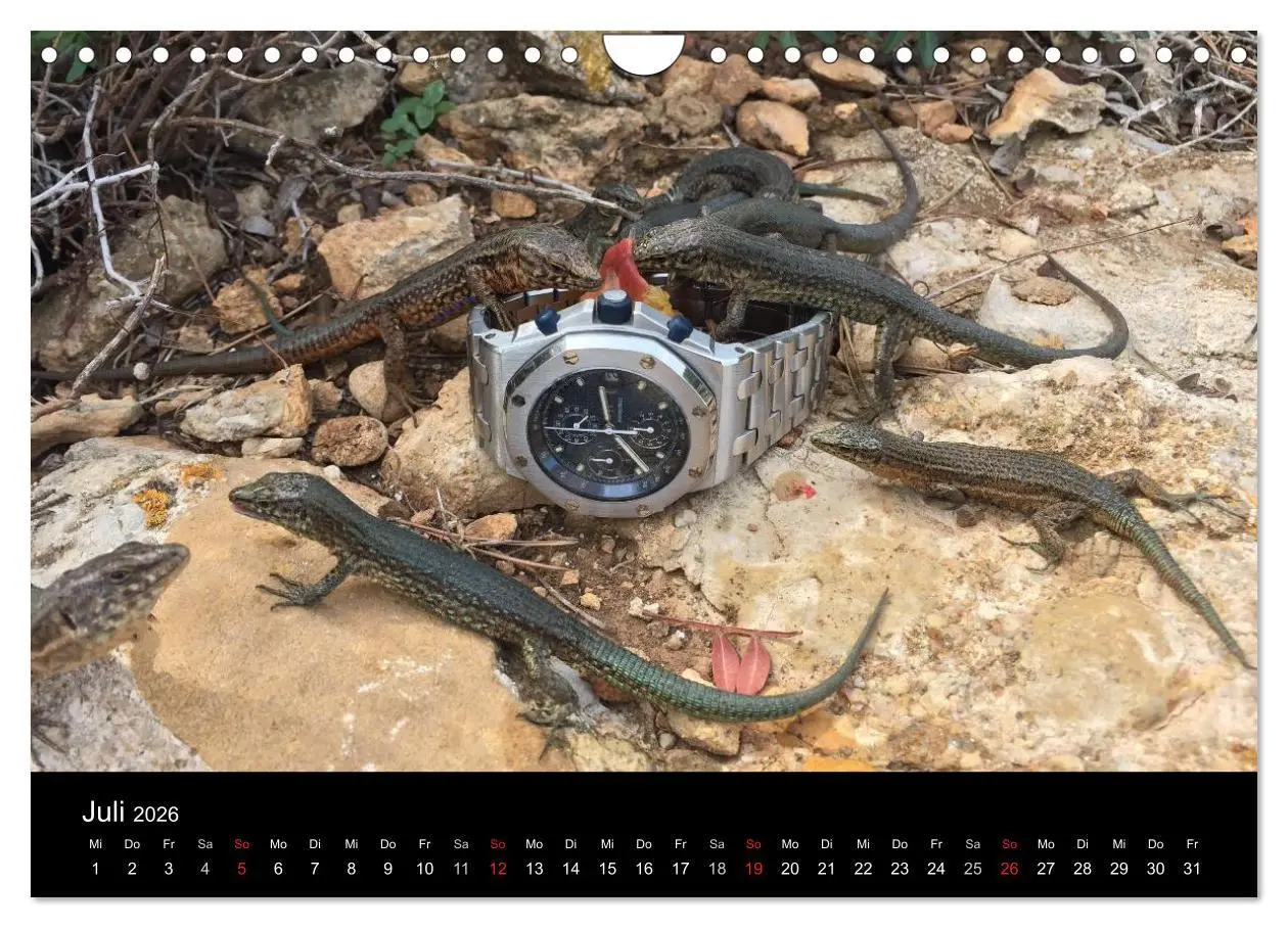 Bild: 9783457969168 | Armbanduhren reisen um die Welt (Wandkalender 2026 DIN A4 quer),...