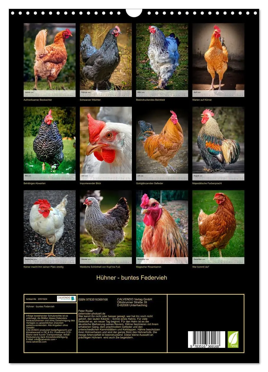 Bild: 9783516369168 | Hühner - buntes Federvieh (Wandkalender 2026 DIN A3 hoch), CALVENDO...