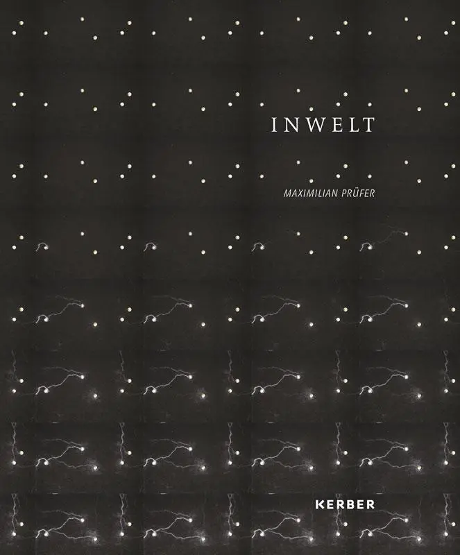 Cover: 9783735609168 | Maximilian Prüfer | Inwelt | Maximilian Prüfer | Buch | 180 S. | 2023
