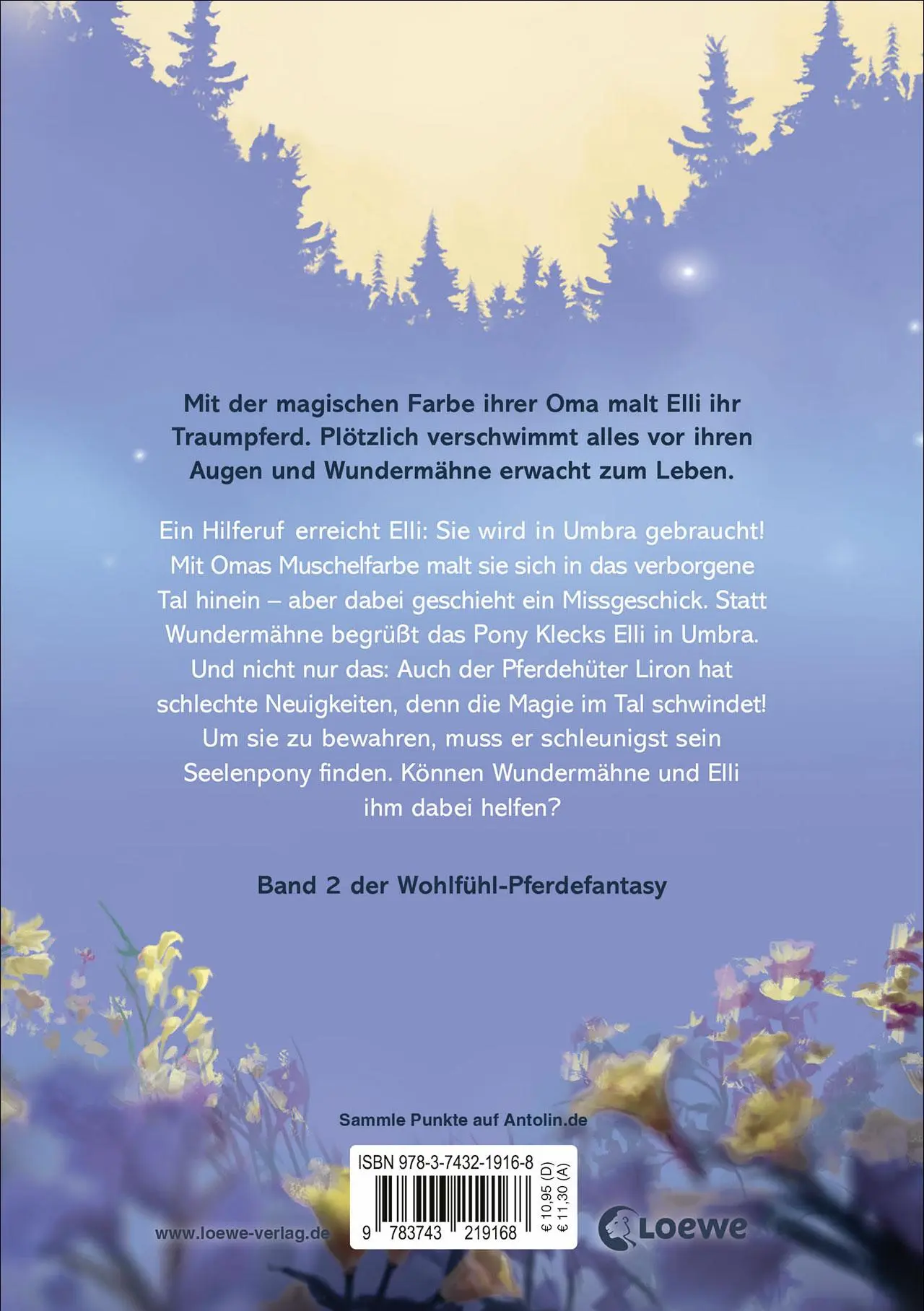 Rückseite: 9783743219168 | Wundermähne (Band 2) - Auf der Suche nach dem Seelenpony | Jana Hoch