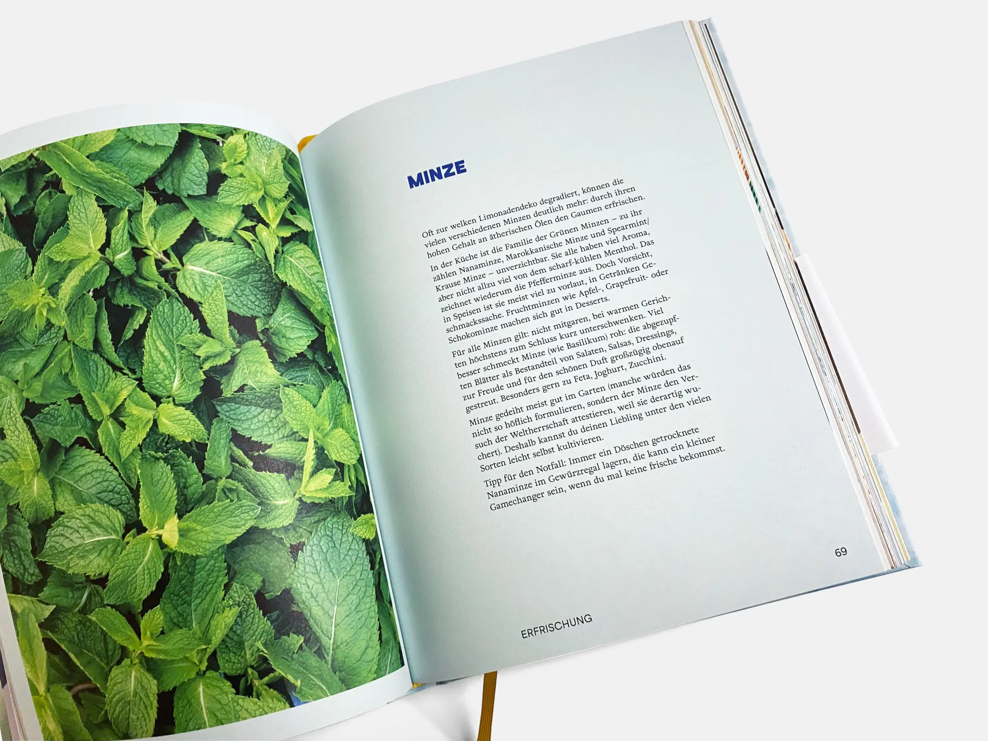 Bild: 9783710609268 | Gut bei Hitze | Erfrischend einfache Rezepte | Katharina Seiser | Buch