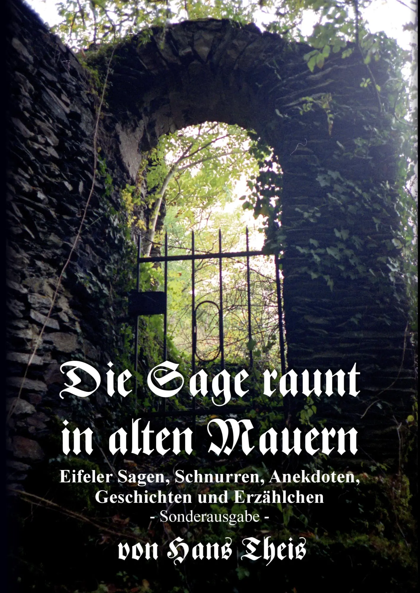 Cover: 9783732249268 | Die Sage raunt in alten Mauern | Hans Theis | Buch | 120 S. | Deutsch
