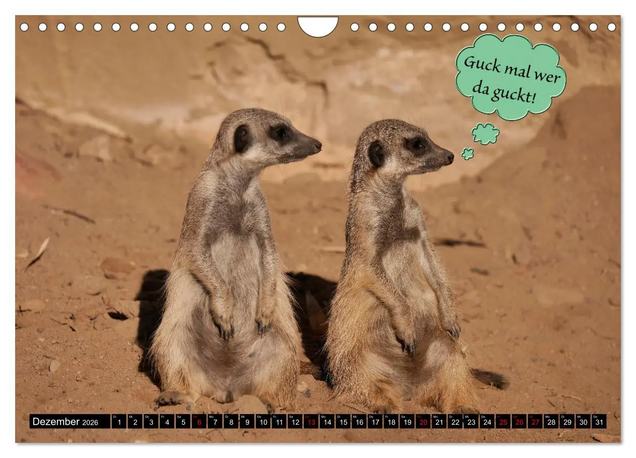 Bild: 9783457639368 | Wenn Tiere sprechen könnten! Der lustige Sprüche Kalender...