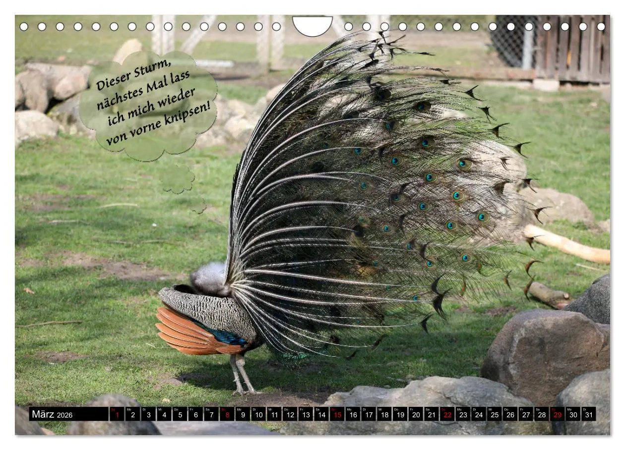Bild: 9783457639368 | Wenn Tiere sprechen könnten! Der lustige Sprüche Kalender...