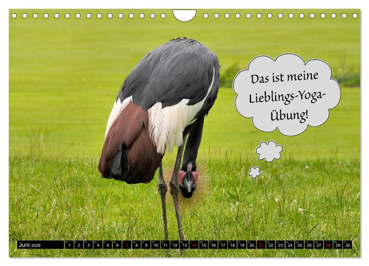 Bild: 9783457639368 | Wenn Tiere sprechen könnten! Der lustige Sprüche Kalender...