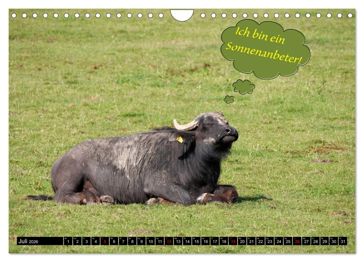 Bild: 9783457639368 | Wenn Tiere sprechen könnten! Der lustige Sprüche Kalender...
