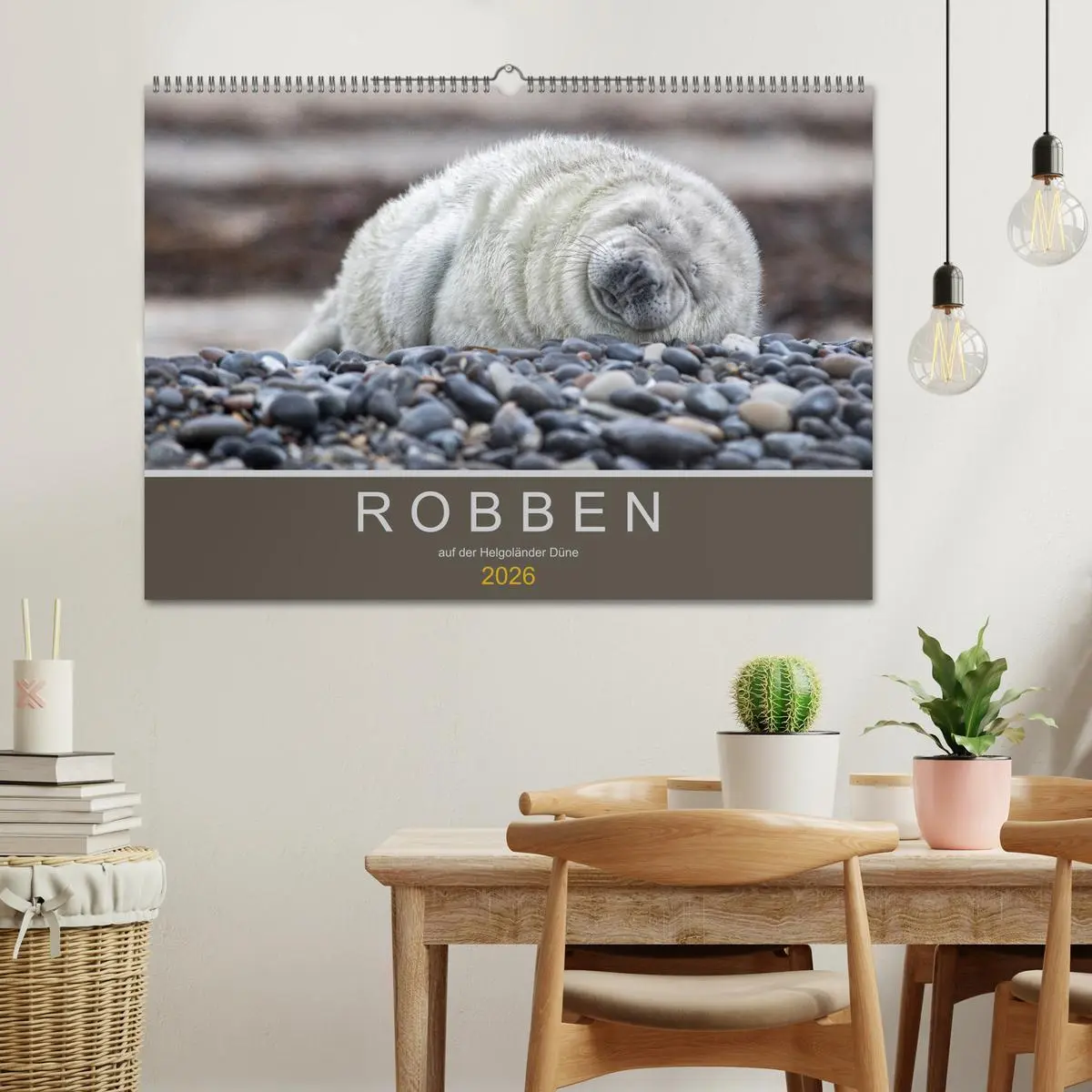 Bild: 9783457939468 | Robben auf der Helgoländer Düne (Wandkalender 2026 DIN A2 quer),...