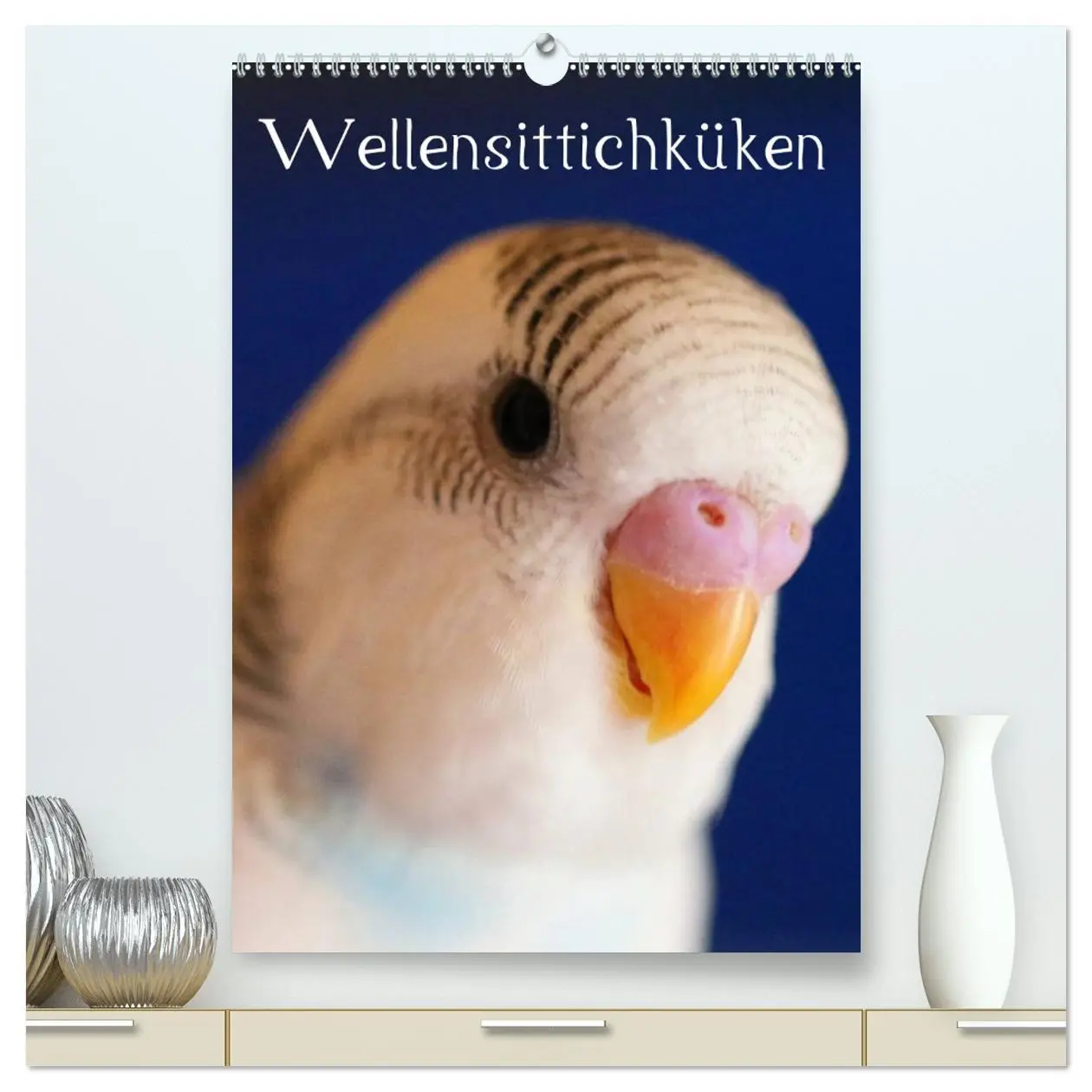 Cover: 9783516409468 | Wellensittichküken (hochwertiger Premium Wandkalender 2026 DIN A2...