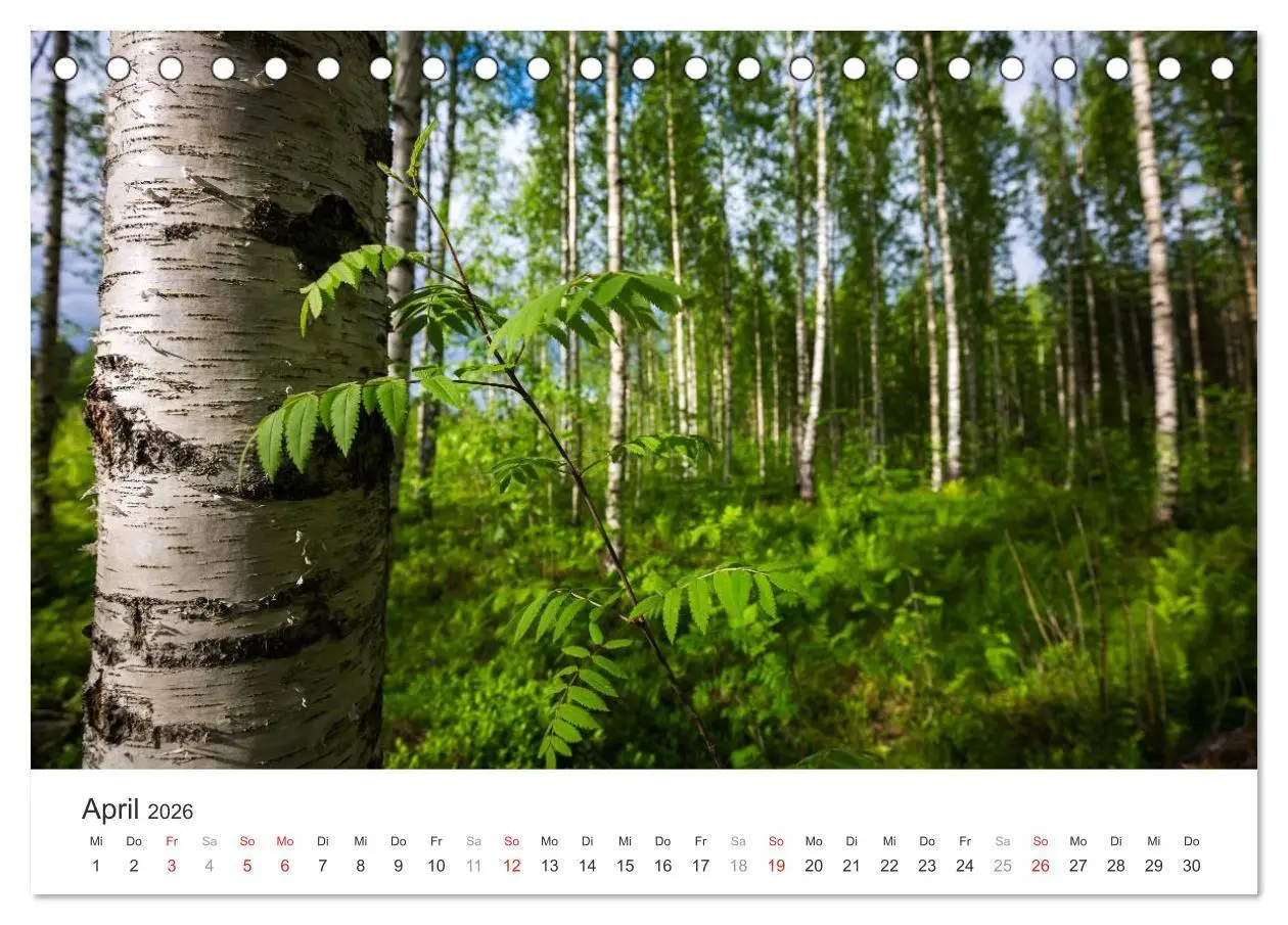 Bild: 9783516019568 | Landschaften Finnlands (Tischkalender 2026 DIN A5 quer), CALVENDO...
