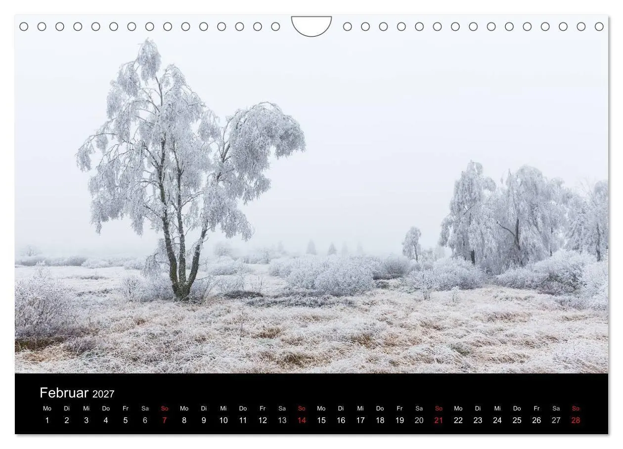 Bild: 9783569969568 | HOHES VENN - Einblicke in ein Hochmoor (Wandkalender 2027 DIN A4...
