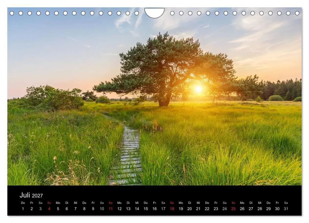 Bild: 9783569969568 | HOHES VENN - Einblicke in ein Hochmoor (Wandkalender 2027 DIN A4...