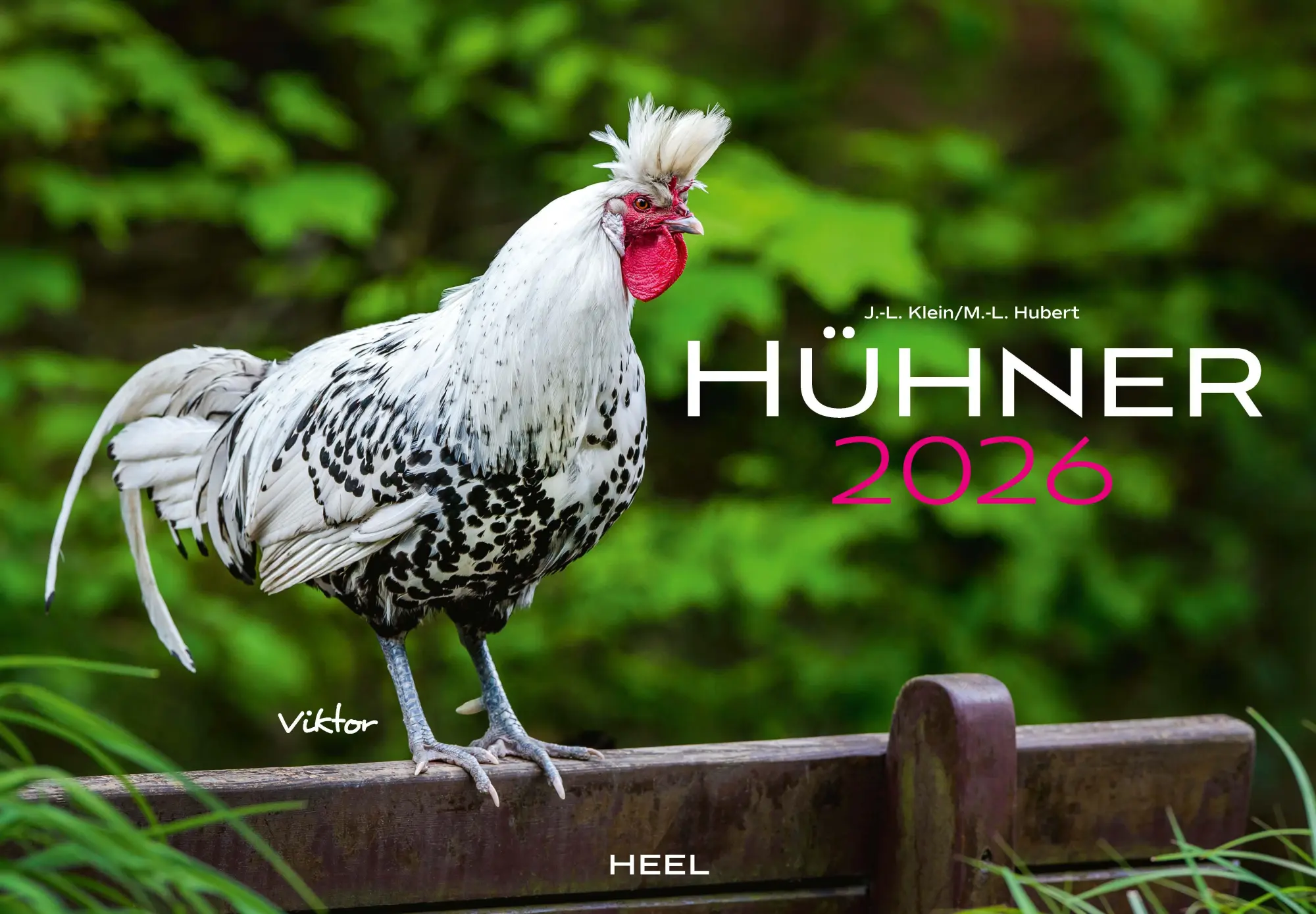 Cover: 9783966649568 | Hühner Kalender 2026 | Der Tierkalender mit den charmanten Namen