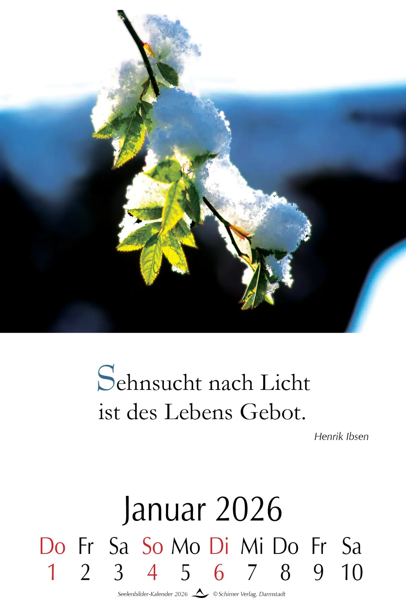 Bild: 9783843499668 | Seelenbilder-Kalender 2026 | Wandkalender | Markus Schirner | Kalender