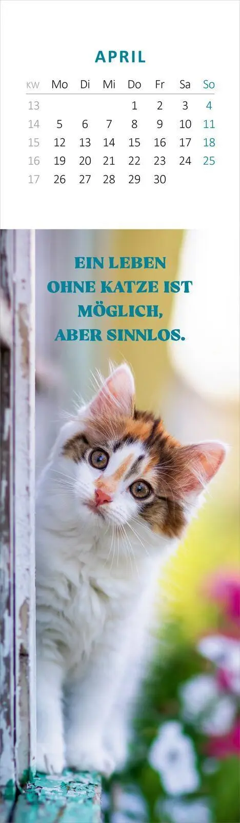 Bild: 4014489139768 | Lesezeichenkalender Katzenglück 2027 | Kalender | 26 S. | Deutsch