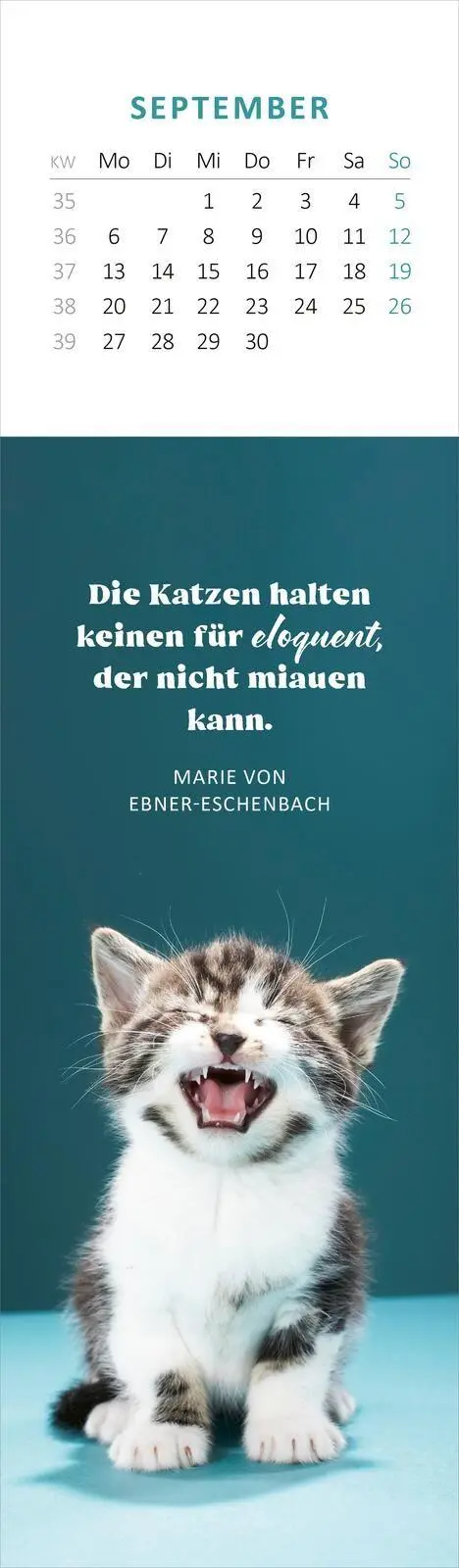 Bild: 4014489139768 | Lesezeichenkalender Katzenglück 2027 | Kalender | 26 S. | Deutsch