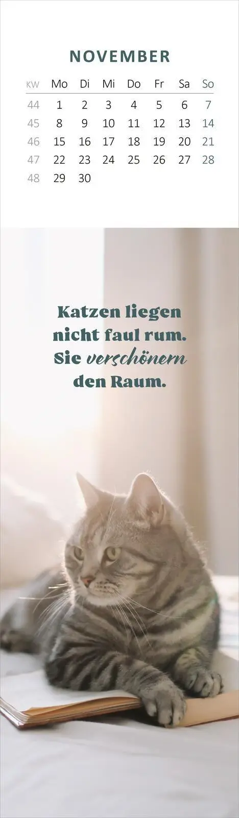 Bild: 4014489139768 | Lesezeichenkalender Katzenglück 2027 | Kalender | 26 S. | Deutsch