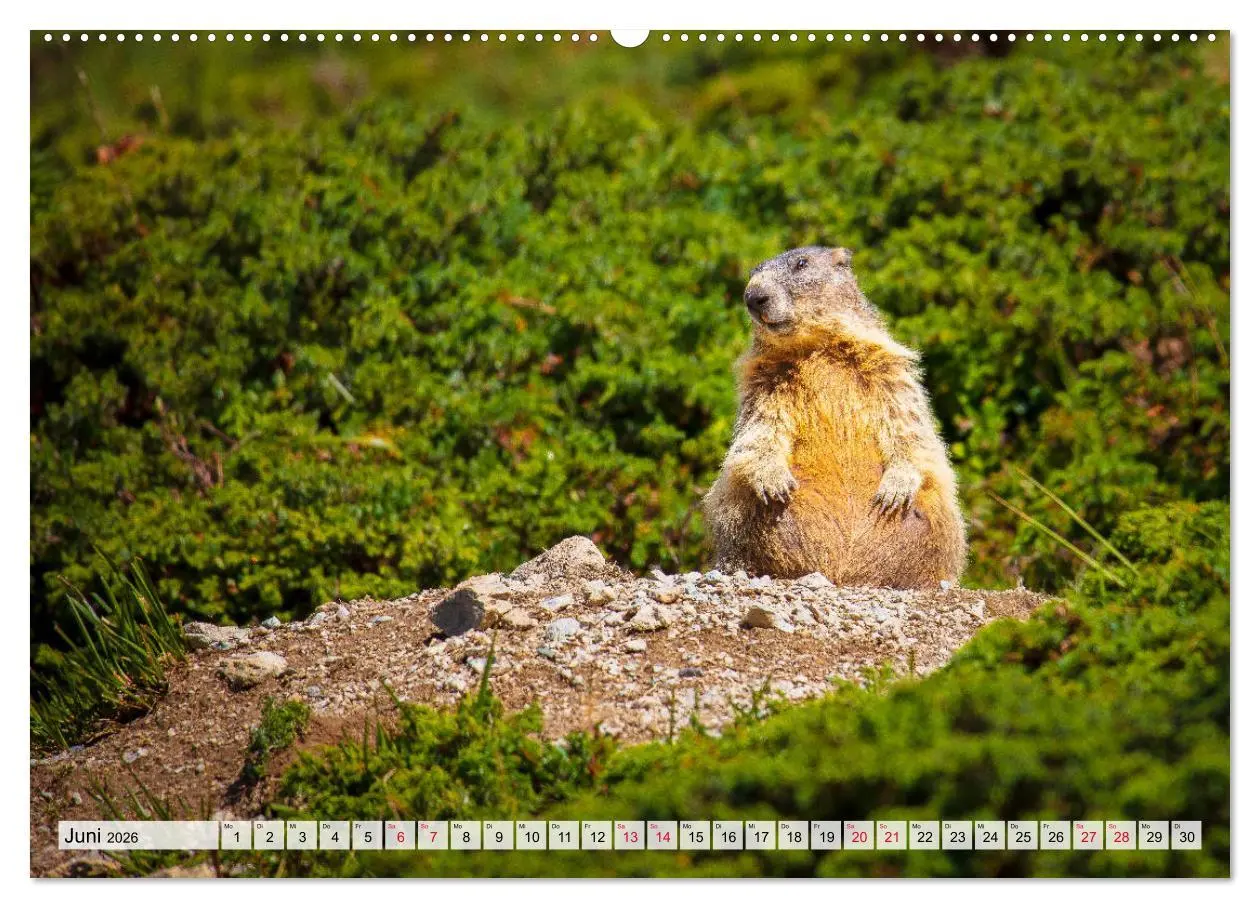 Bild: 9783457769768 | Bündnerland (Wandkalender 2026 DIN A2 quer), CALVENDO Monatskalender