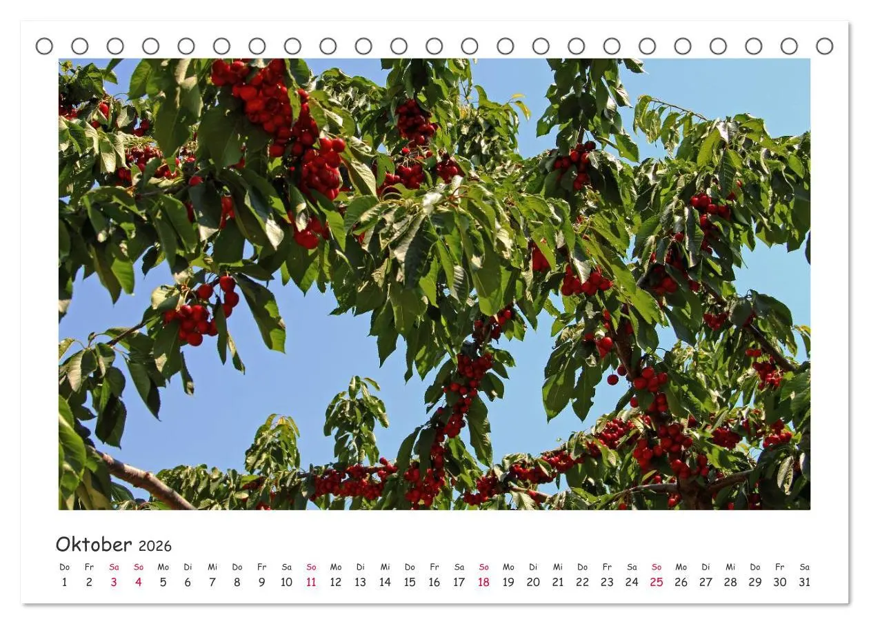 Bild: 9783516239768 | Tor des Südens (Tischkalender 2026 DIN A5 quer), CALVENDO...