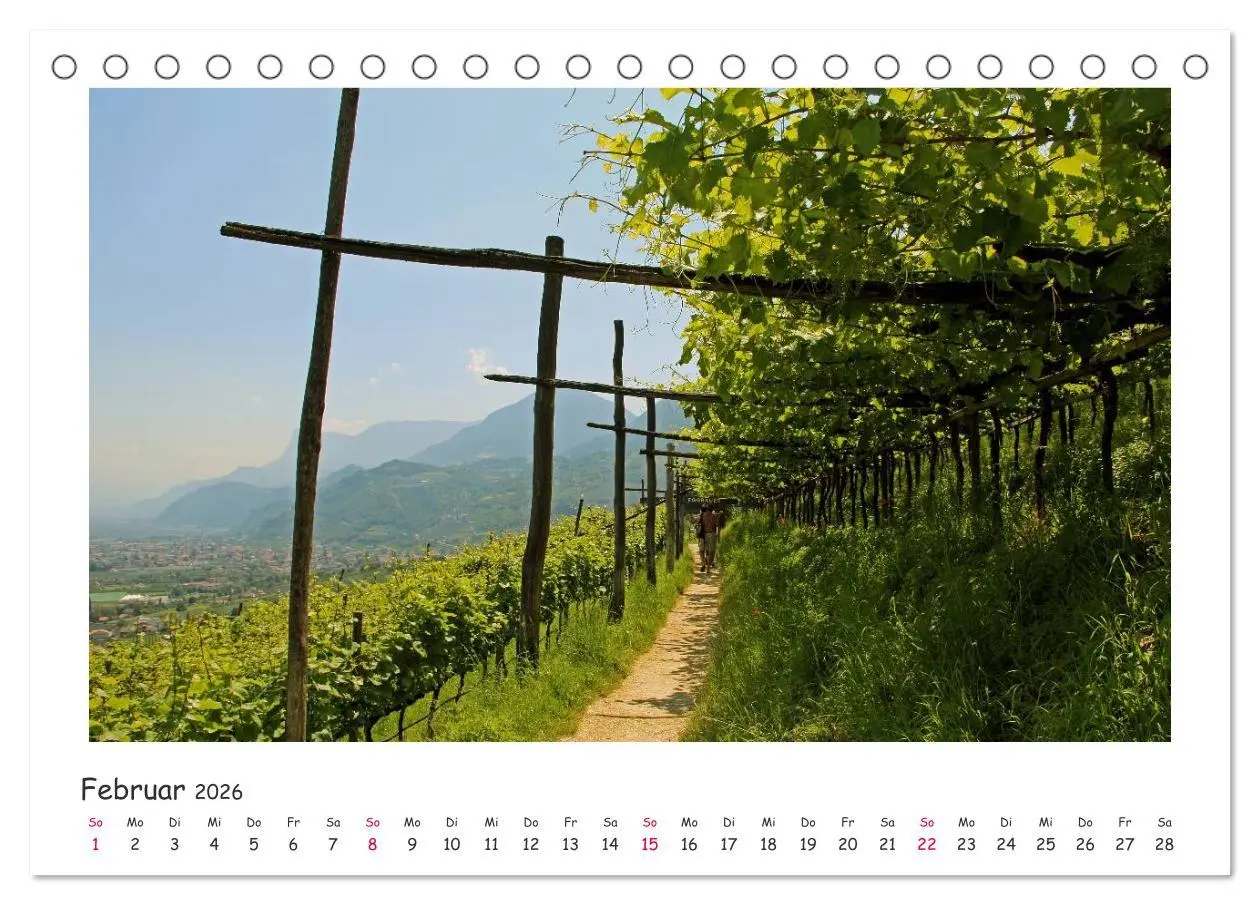 Bild: 9783516239768 | Tor des Südens (Tischkalender 2026 DIN A5 quer), CALVENDO...