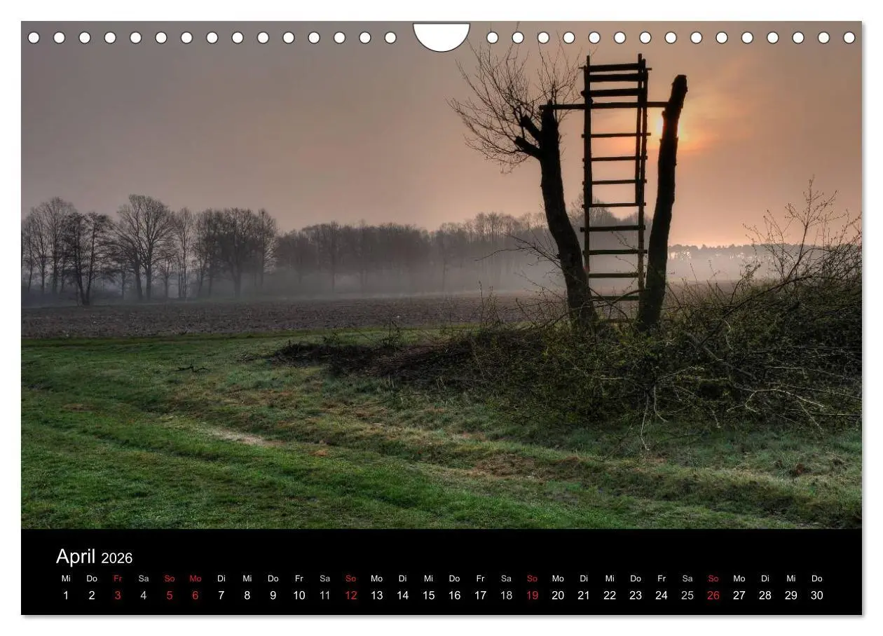 Bild: 9783516229868 | Märchenkulissen - Landschaften der Oberpfalz (Wandkalender 2026 DIN...