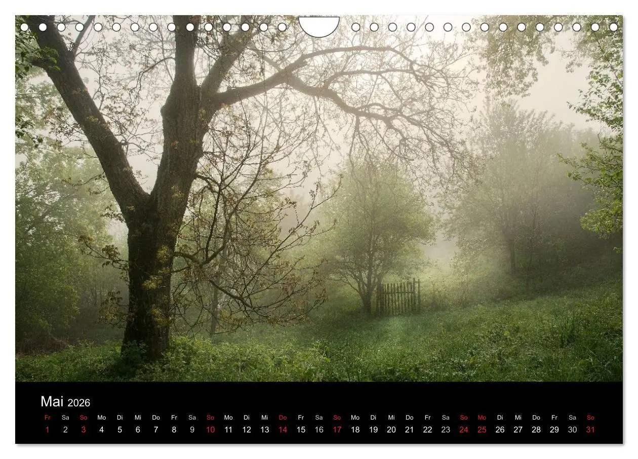 Bild: 9783516229868 | Märchenkulissen - Landschaften der Oberpfalz (Wandkalender 2026 DIN...
