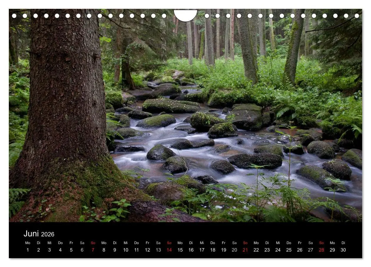 Bild: 9783516229868 | Märchenkulissen - Landschaften der Oberpfalz (Wandkalender 2026 DIN...