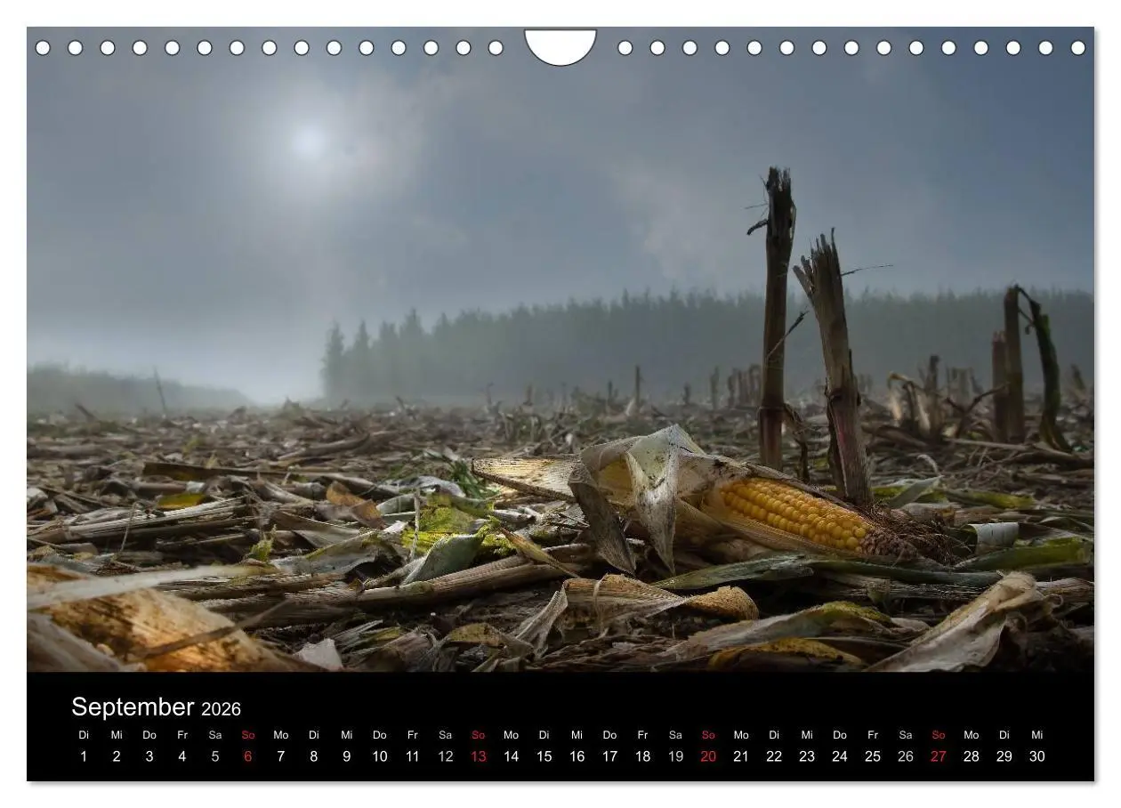 Bild: 9783516229868 | Märchenkulissen - Landschaften der Oberpfalz (Wandkalender 2026 DIN...