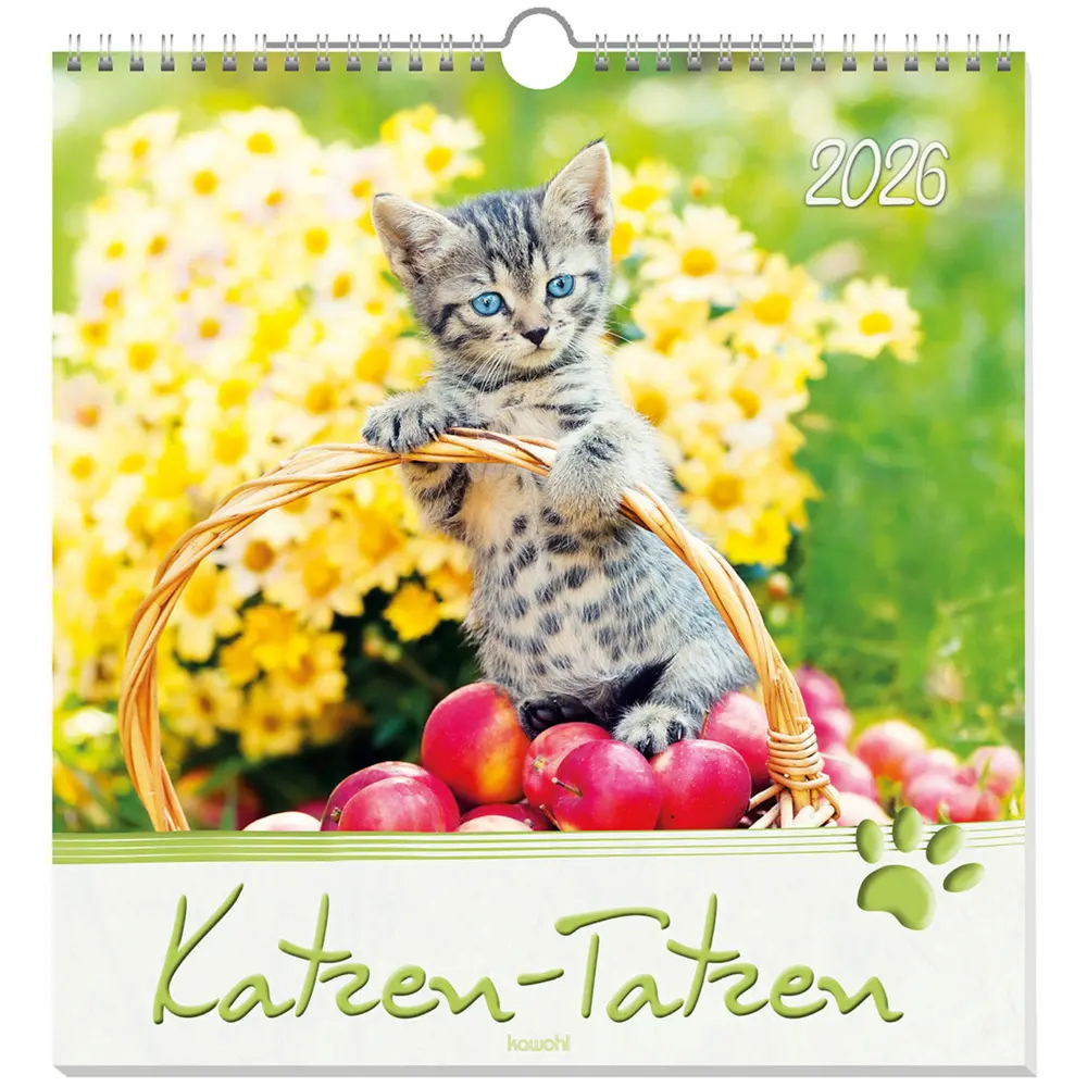 Cover: 9783754829868 | Katzen-Tatzen 2026 | Kalender | Spiralbindung | 14 S. | Deutsch | 2026
