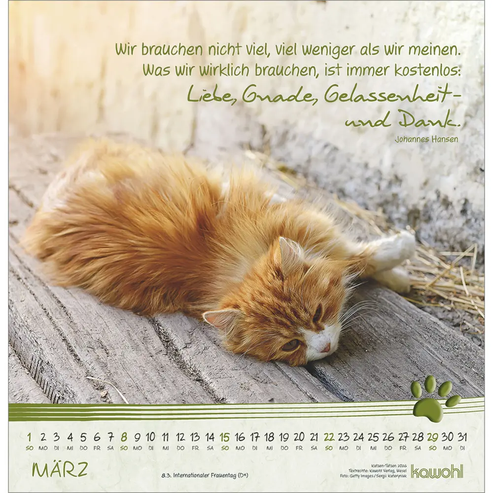 Bild: 9783754829868 | Katzen-Tatzen 2026 | Kalender | Spiralbindung | 14 S. | Deutsch | 2026