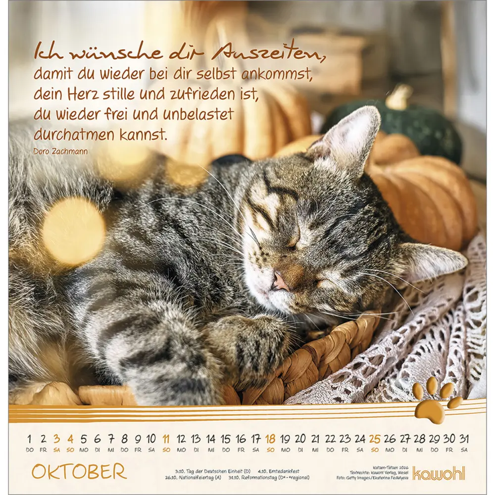 Bild: 9783754829868 | Katzen-Tatzen 2026 | Kalender | Spiralbindung | 14 S. | Deutsch | 2026