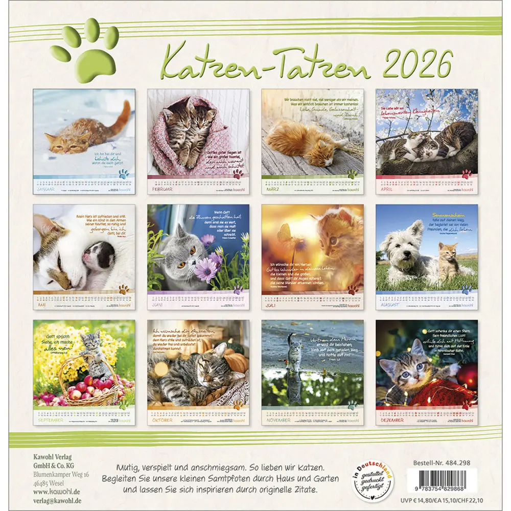 Bild: 9783754829868 | Katzen-Tatzen 2026 | Kalender | Spiralbindung | 14 S. | Deutsch | 2026