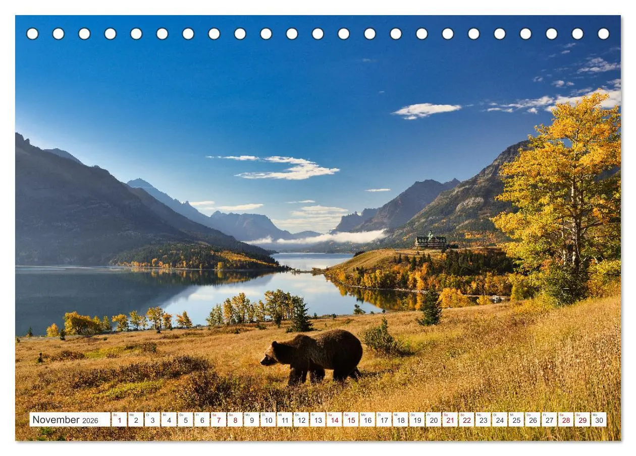 Bild: 9783457509968 | KANADA - Die Bären der Rocky Mountains (Tischkalender 2026 DIN A5...
