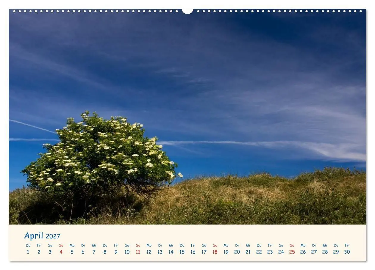 Bild: 9783594129968 | Urlaub auf Borkum (Wandkalender 2027 DIN A2 quer), CALVENDO...