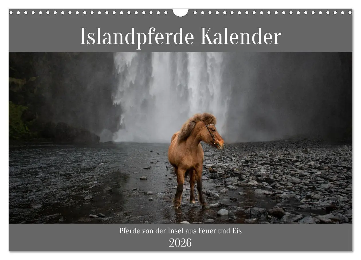 Cover: 9783457620069 | Islandpferde Kalender - Pferde von der Insel aus Feuer und Eis...